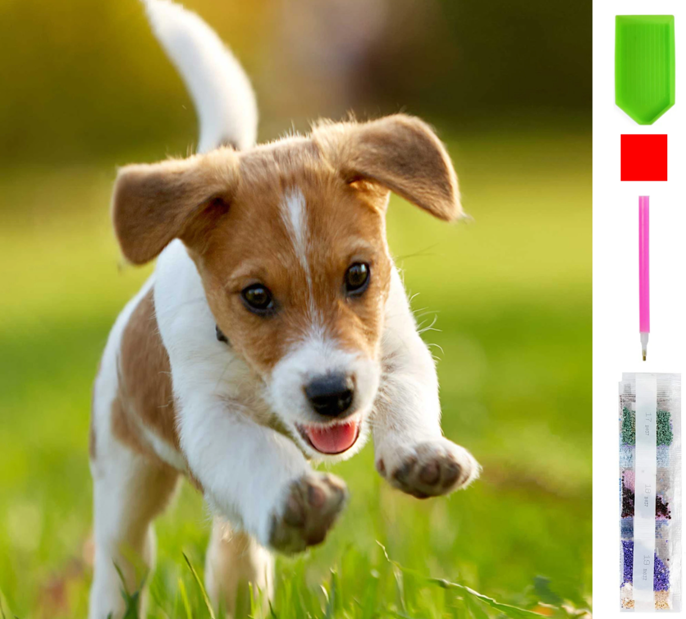 81ce70802a122144815445bf446f79ac 81ce70802a122144815445bf446f79ac